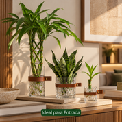 Portal da Sorte