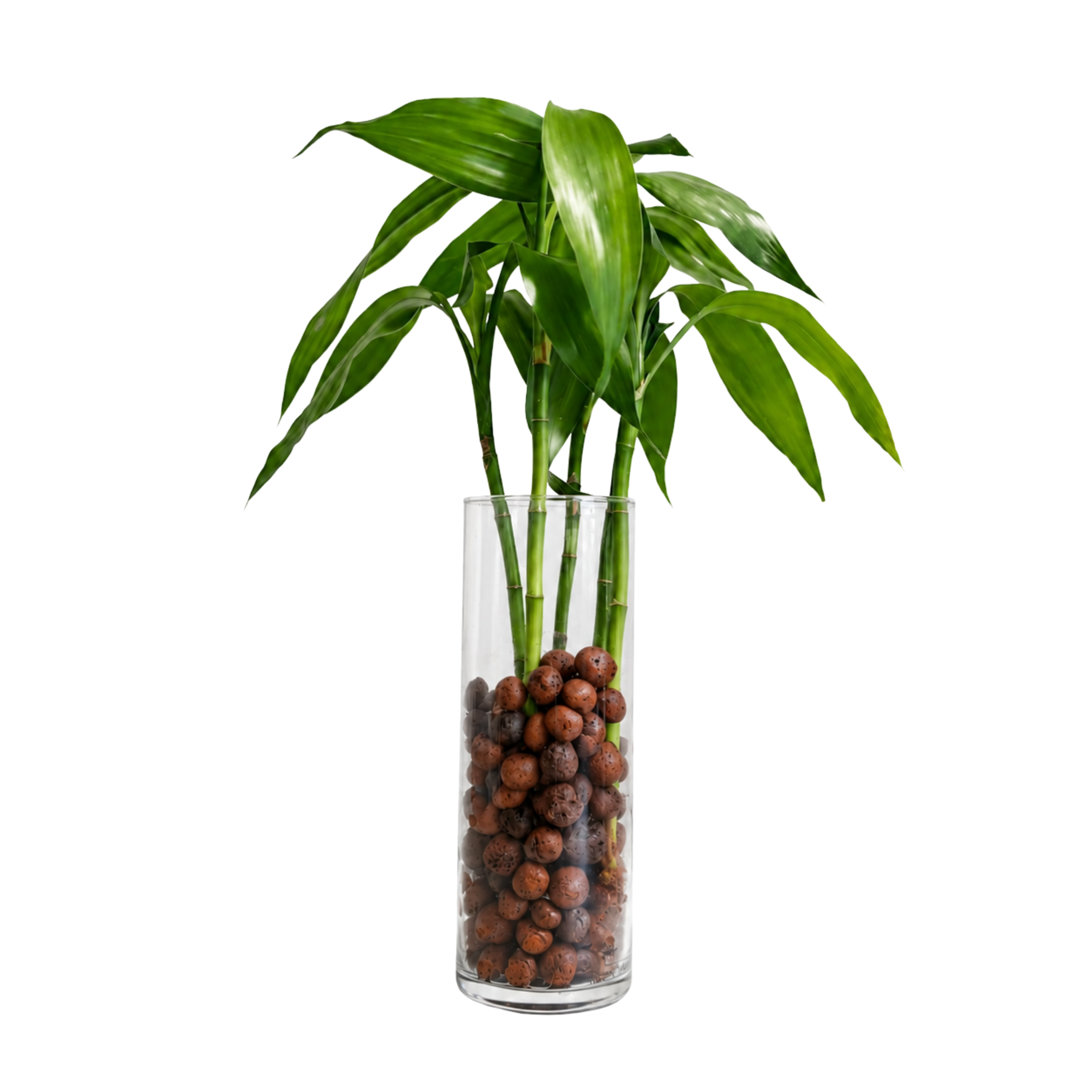 bambu_da_sorte_-_teracota_42ca65fc-976f-41cd-b2b1-0f1ca7f8893e.png