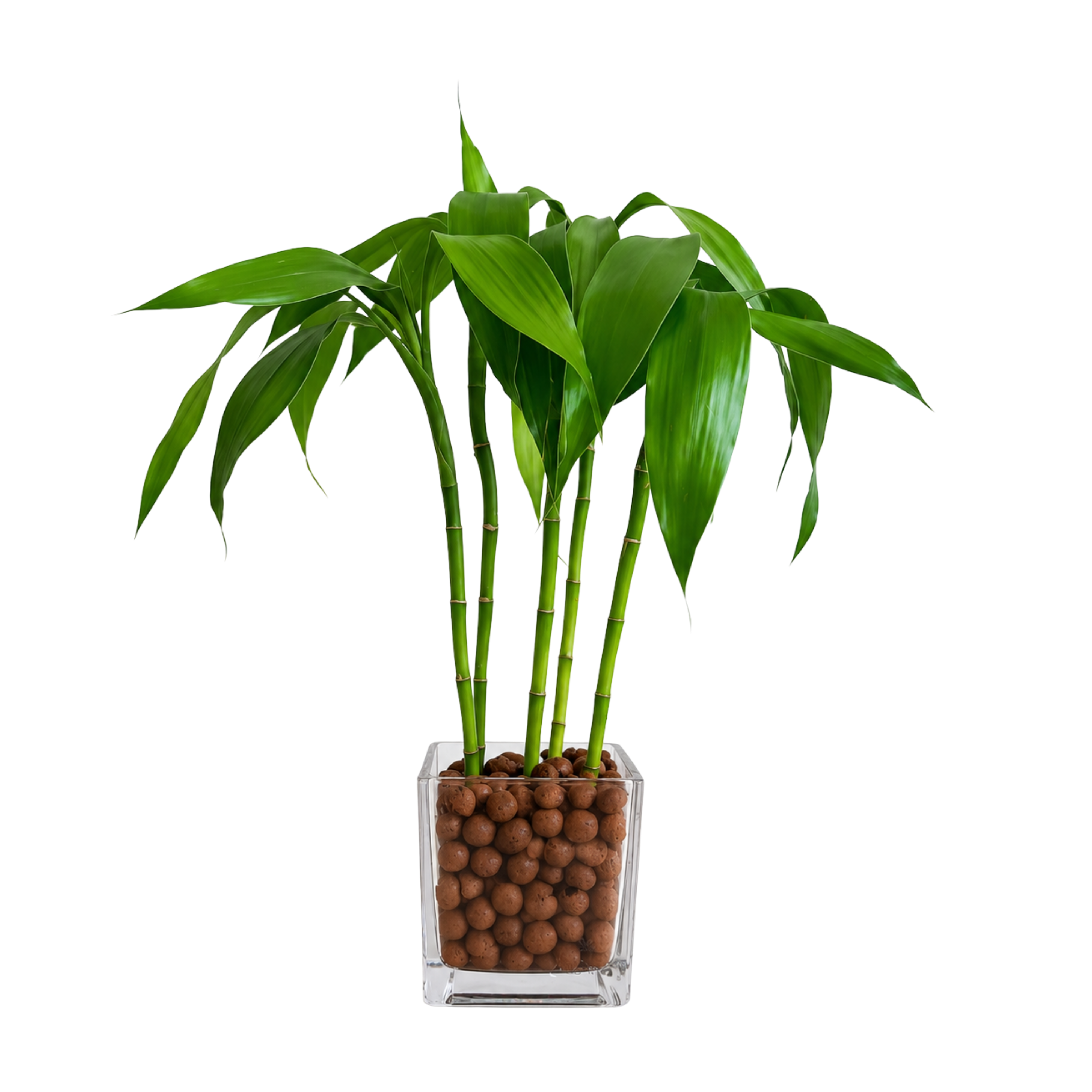 bambu_da_sorte_quadrado_-_terracota_5f9b7089-c958-4c39-8ba3-d747f9434491.png