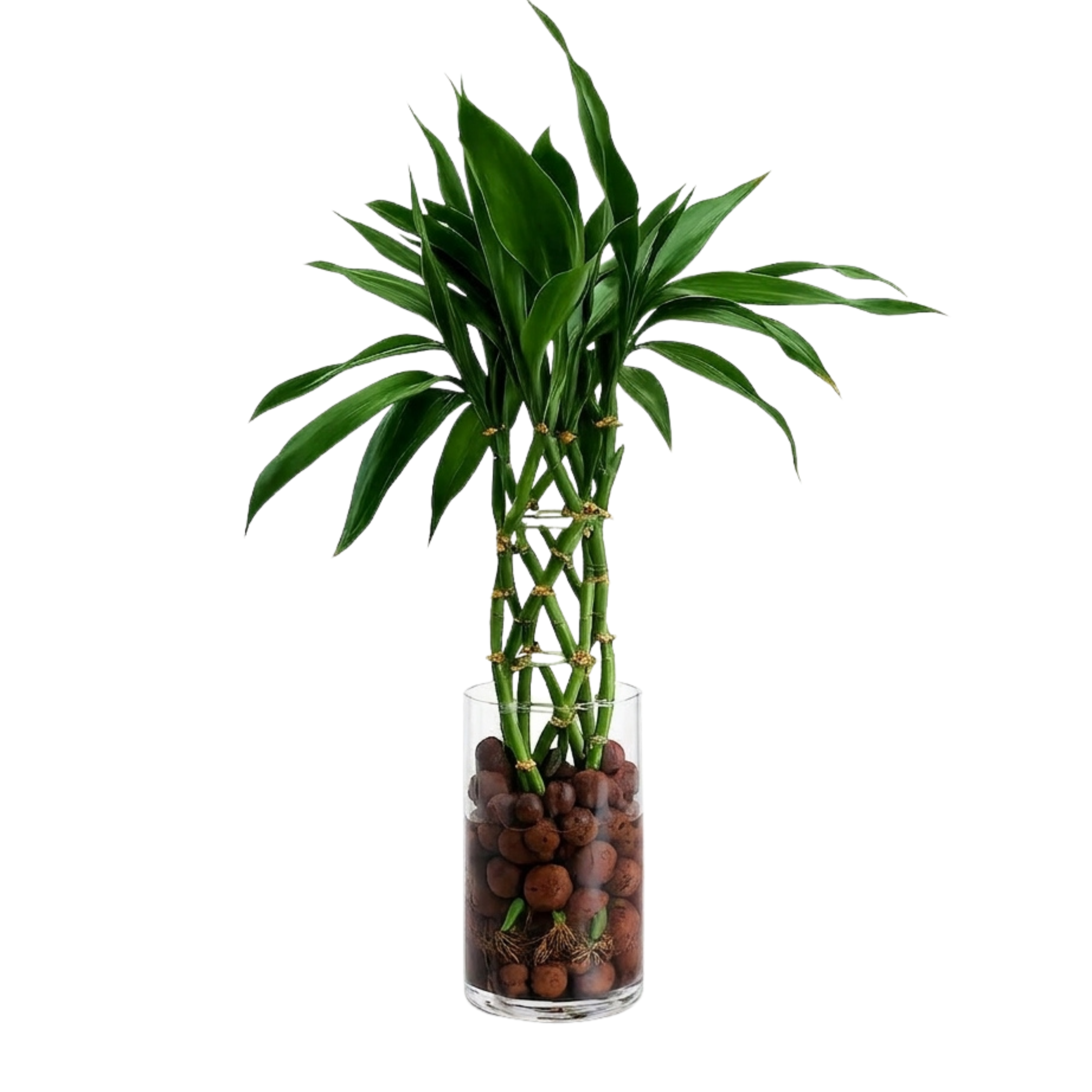 bambu_entrelacado_-_terracota_6fa2ff7a-86d2-4922-8713-5c20261b3c3d.png