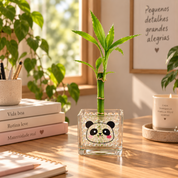 Kit Bambu Kids - Bambu da Sorte Brotado