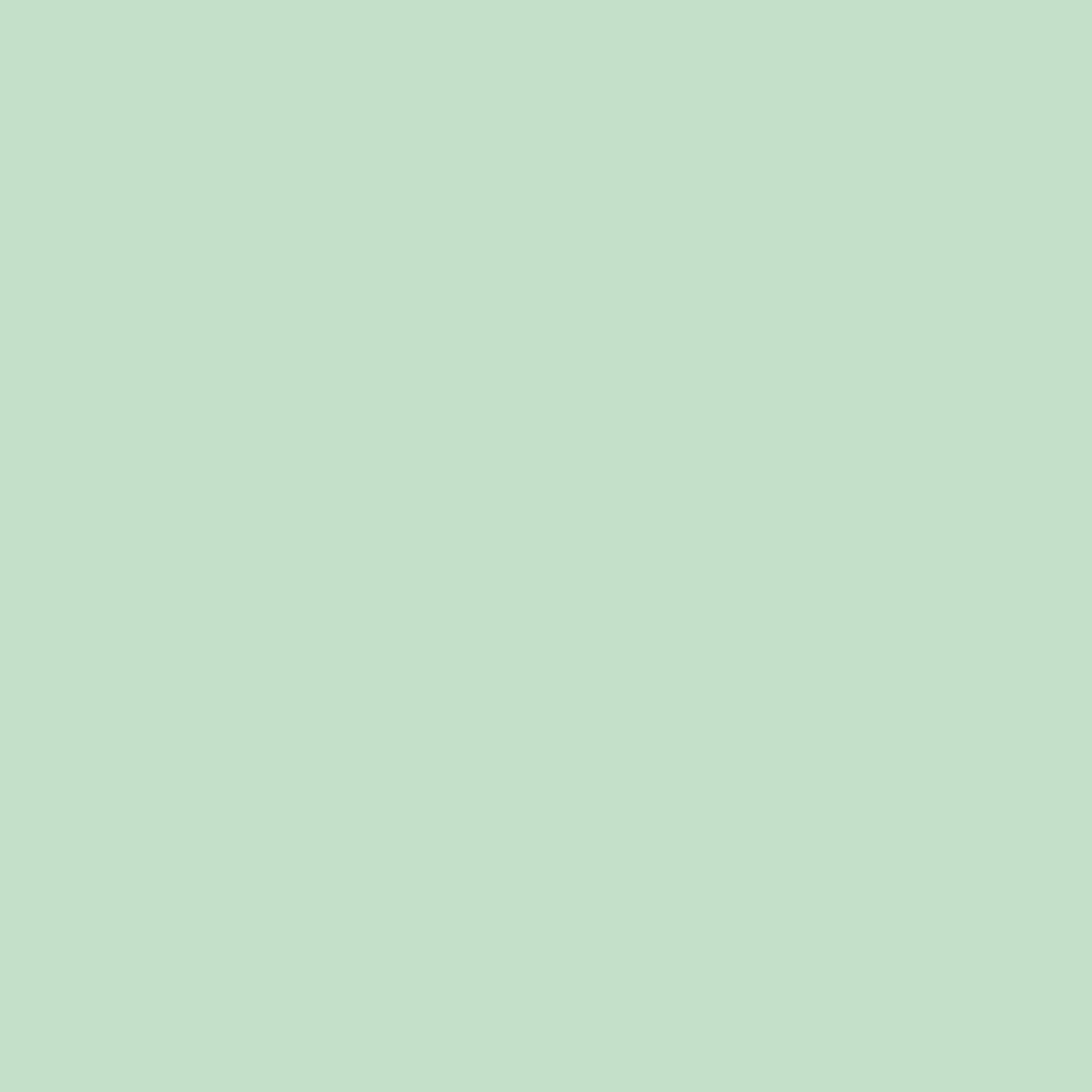 fundo_verde_claro.png