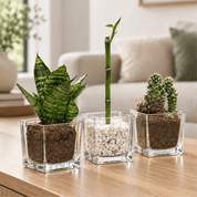 Kit Mini Trio